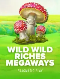 wild wild riches megaways game logo